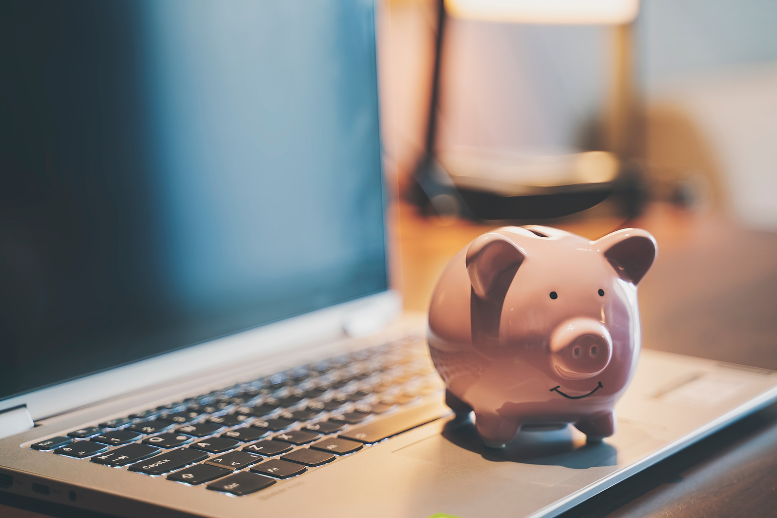 Piggy bank savings online banking